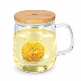 Pahar de ceai cu filtru și capac de bambus, 500ml, Transparent, 50093.01, Navaris