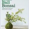 Moss Ball Bonsai: 100 Beautiful Kokedama That Are Fun to Create