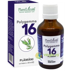 Polygemma 16 (Plamani) 50ml