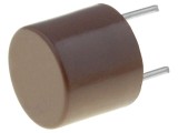 Siguranță Ardere Rapidă 50mA 250V THT TR5 Cupru