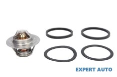 Termostat,lichid racire Peugeot 306 (1993-2003)[7B,N3,N5,7A,7C,7D,7E,N_,7_]