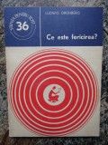 Ce este fericirea? Ludwig Grunberg