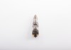 BOSCH 0 445 120 217 Injector