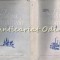 Din Istoria Transilvaniei I, II - Constantin Daicoviciu, Stefan Pascu