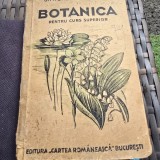 BOTANICA PENTRU CURS SUPERIOR - SIMIONESCU SI BADARAU EDITIA VII-A