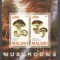 Malawi 2010 Mushrooms, imperf. sheet, MNH S.119