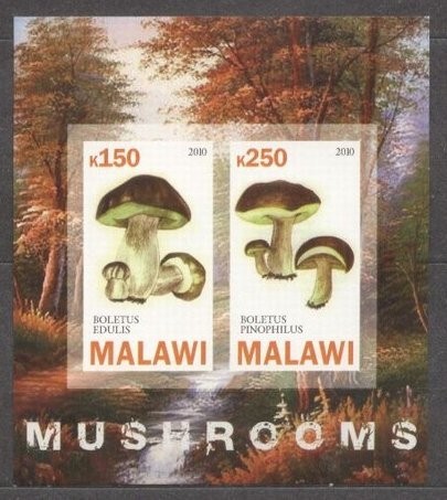 Malawi 2010 Mushrooms, imperf. sheet, MNH S.119