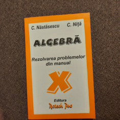 ALGEBRA CLASA A X A REZOLVAREA PROBLEMELOR DIN MANUAL C NASTASESCU C NITA