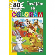 Invatam sa coloram 80 imagini