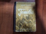 Temelia vol.1 de Eusebiu Camilar