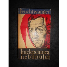 LION FEUCHTWANGER - INTELEPCIUNEA NEBUNULUI