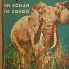 Aurel Lecca, Val Tebeica - Un roman in Congo