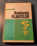 Ntomia Plantelor M Andrei