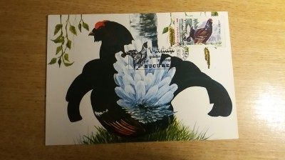 C12 - maxima Romania - tematica pasari 26 - prima zi a emisiunii sau expozitii foto