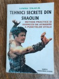 Tehnici secrete din Shaolin - Liviu Tilica, 1988 / R6P3S