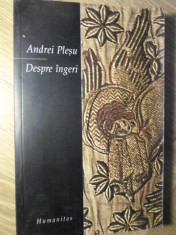 DESPRE INGERI - ANDREI PLESU foto