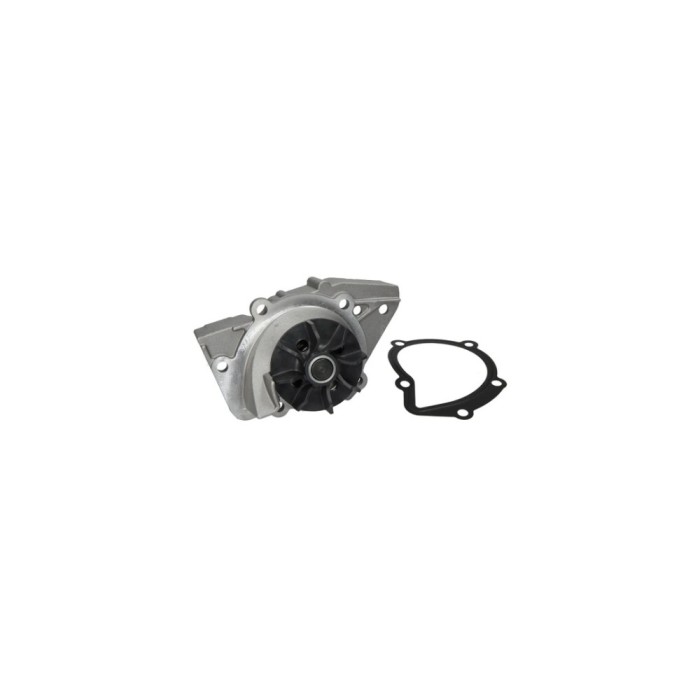 Pompa apa FIAT SCUDO Combinato 220P AIRTEX 1361