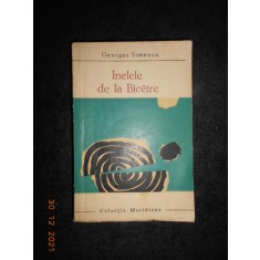 GEORGES SIMENON - INELELE DE LA BICETRE