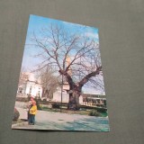CARTE POSTALA IASI-TEIUL LUI EMINESCU CIRCULATA