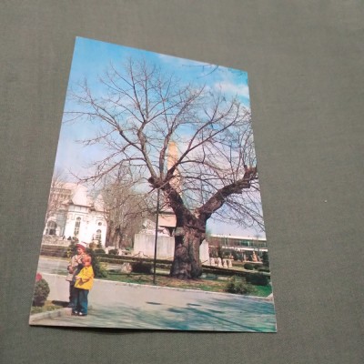 CARTE POSTALA IASI-TEIUL LUI EMINESCU CIRCULATA foto