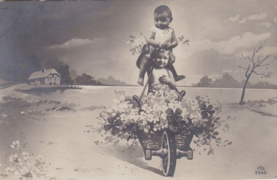 CARTE POSTALA circulata foto