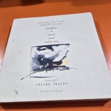 &Icirc;nt&acirc;lnire &icirc;n jurul unei palme zen - Gabriel Liiceanu, Gabriel Cercel