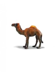 Camila - Collecta