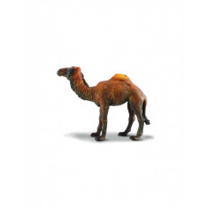 Camila - Collecta
