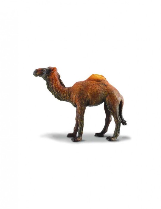 Camila - Collecta