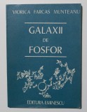 Viorica Farcaș Munteanu - Galaxii de fosfor (coperta Tudor Jebeleanu)