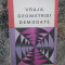 Vraja geometriei demodate - Viorel Gh. Voda