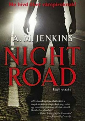 Night road - &amp;Eacute;jjeli utaz&amp;aacute;s - A.M. Jenkins foto