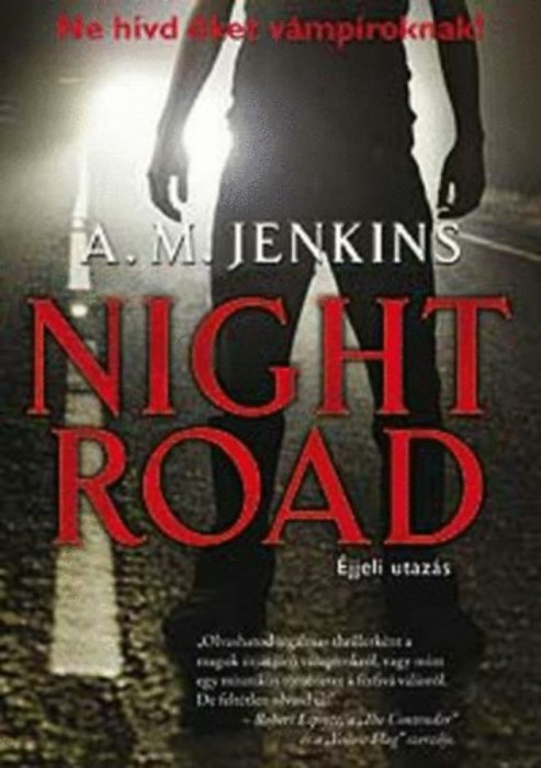 Night road - &Eacute;jjeli utaz&aacute;s - A.M. Jenkins
