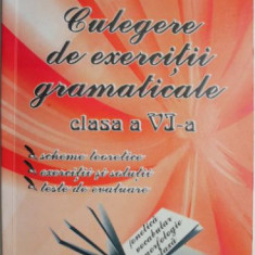 Culegere de exercitii gramaticale (clasa a VI-a) – Emanuela Braslasu
