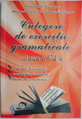 Culegere de exercitii gramaticale (clasa a VI-a) &amp;ndash; Emanuela Braslasu foto