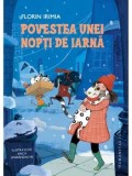 Cumpara ieftin Povestea unei nopti de iarna/Florin Irimia