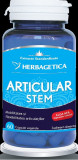 Articular stem 60cps vegetale, Herbagetica