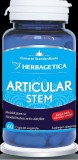 Articular stem 60cps vegetale