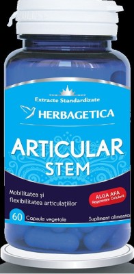 Articular stem 60cps vegetale foto