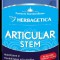 Articular stem 60cps vegetale