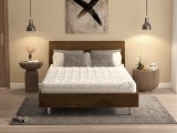 Saltea cu spuma poliuretanica HypoallergenicMed PolyCotton 180x200, hipoalergenica, husa lavabila si detasabila cu fermoar, fermitate medie Relax KipR, Somnart