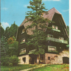 Carte Postala veche Romania - Sinaia - Vila . Circulata 1969