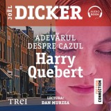 Adevărul despre cazul Harry Quebert - Audiobook - Jo&euml;l Dicker