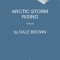 Arctic Storm Rising