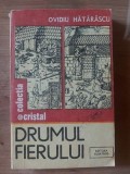 Drumul fierului- Ovidiu Hatarascu