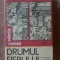 Drumul fierului- Ovidiu Hatarascu