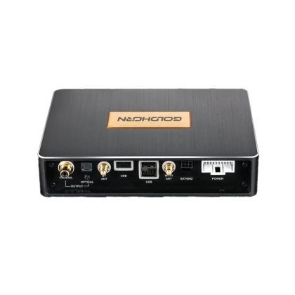 Amplificator auto Goldhorn P2 PRO CarStore Technology