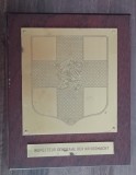 D14 5 - Placheta - tematica militara - Armata Olandei
