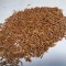 viermele de faina mealworms