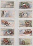 1927 Pasari de vanat - set complet 50 cartonase PLAYER&#039;S Cigarette Cards